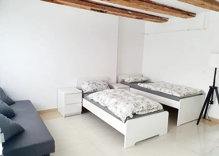 Nice And Bright Flat In Pankow